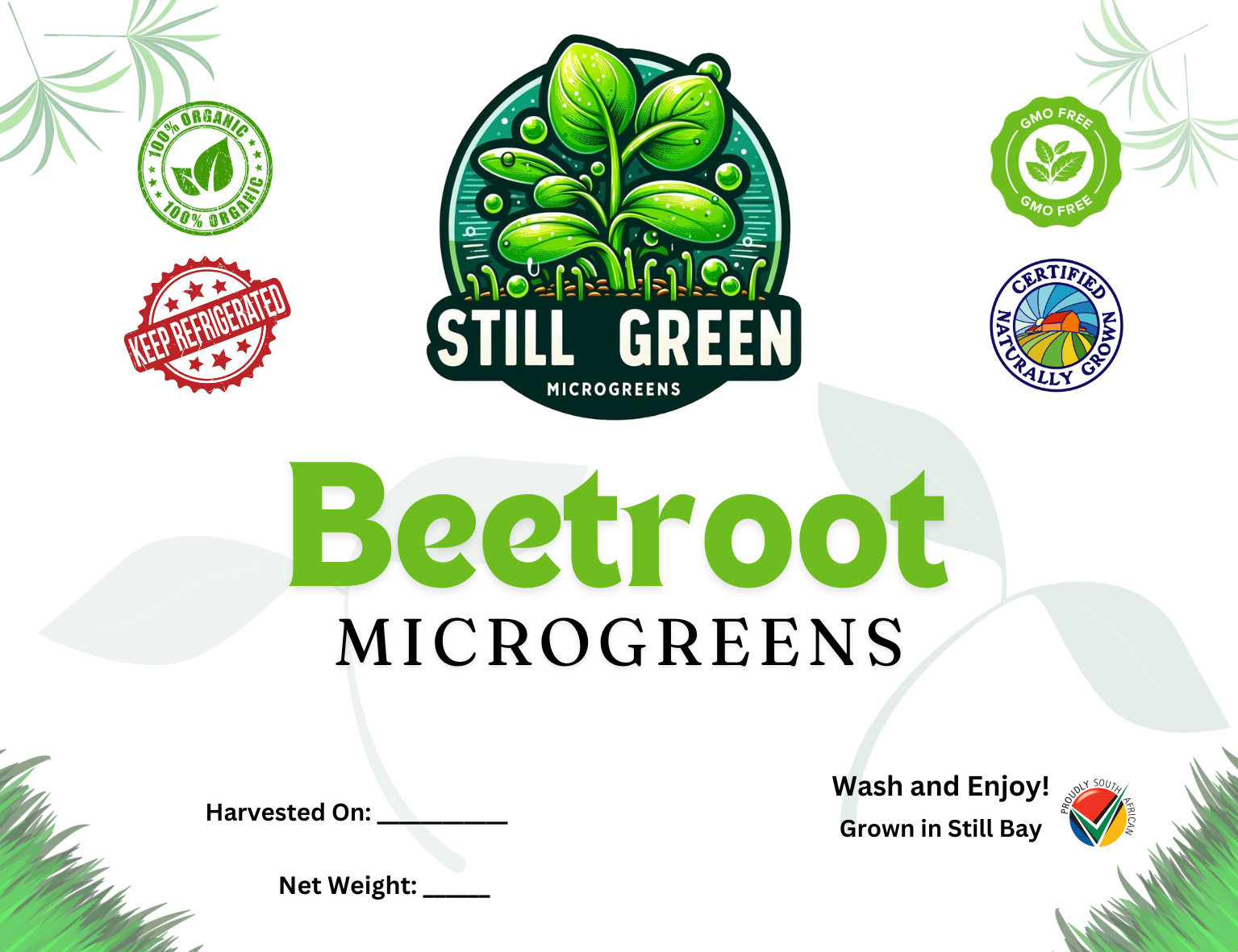 Still Green - Beetroot